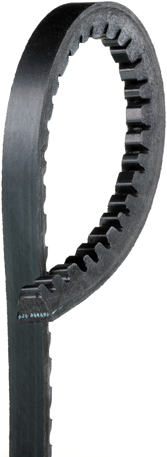 17530 Professional Series Accessory Drive Belt - Direct Fit, Sold individually
