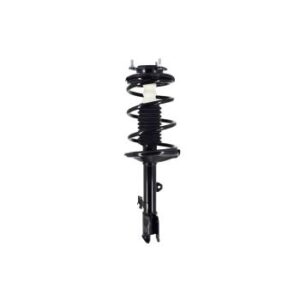 2000 Toyota RAV4 Suspension Strut and Coil Spring Assembly
