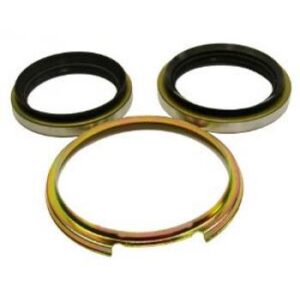 2000 Toyota RAV4 Wheel Seal Kit