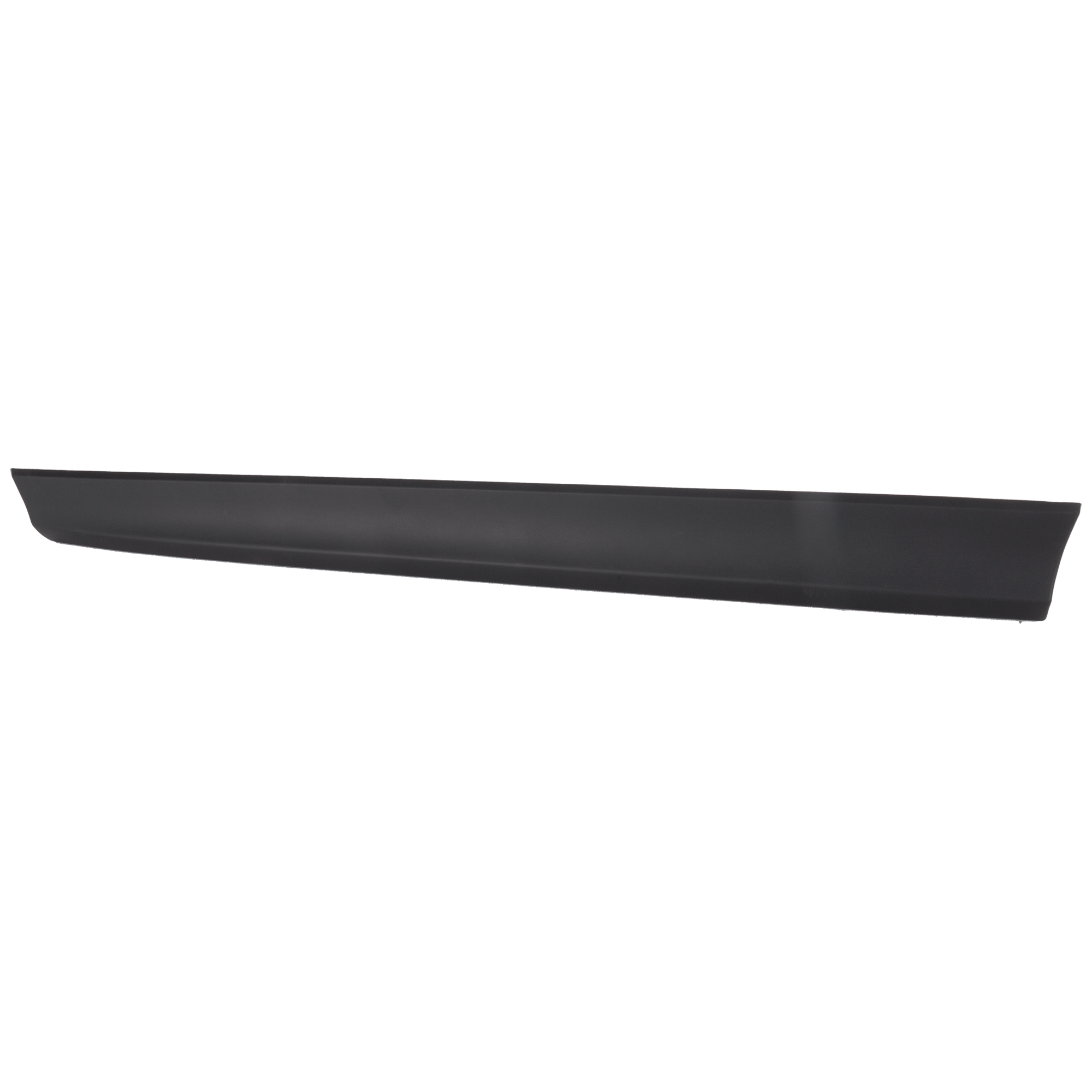 Front, Driver Side, Lower Door Molding and Beltlines, Textured Black - Image 2