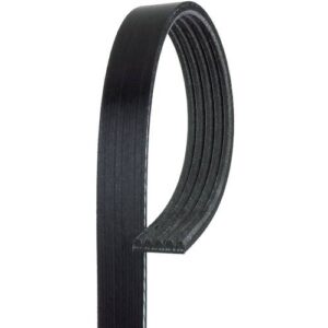 ACDelco 5K420 | Black Serpentine Belt