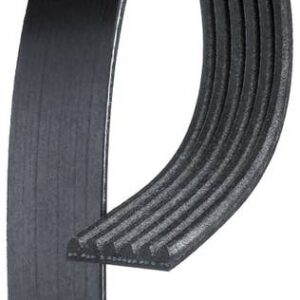 ACDelco 6K755 | Black Serpentine Belt