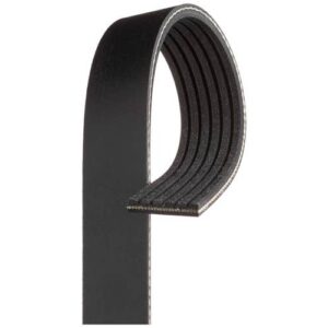 ACDelco 6K880A | Black Serpentine Belt