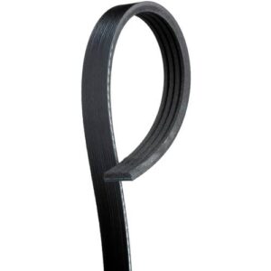 ACDelco Black Serpentine Belt | 4K338