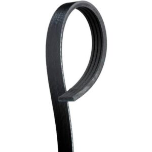 ACDelco Black Serpentine Belt | 4K345