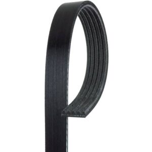 ACDelco Black Serpentine Belt | 5K323