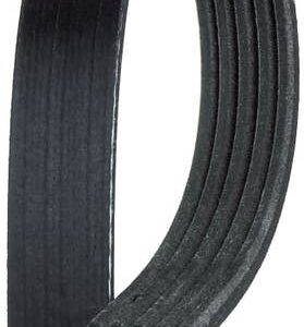 ACDelco Black Serpentine Belt | 5K344