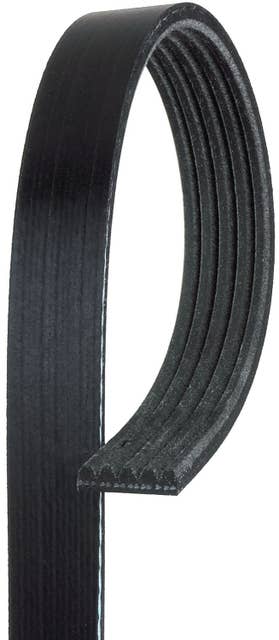 ACDelco Black Serpentine Belt | 5K345