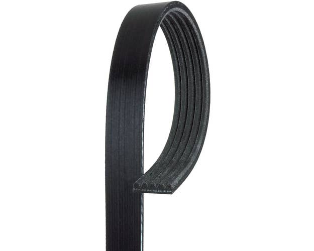 ACDelco Black Serpentine Belt | 5K435