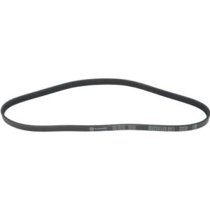 Autopart International 1602-360194 | Serpentine Belt