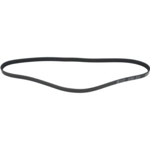 Autopart International 1602-360243 | Serpentine Belt