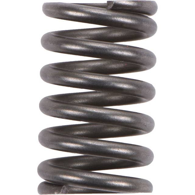 Autopart International 2108-49769 | Rear Exhaust Spring