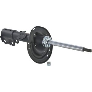 Autopart International 2701-423329 | Front Right Suspension Strut Assembly