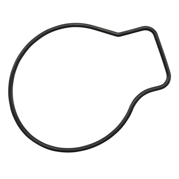 039-4106 Water Pump Gasket - Sold Individually - Image 2