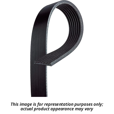 BLACKBELT - K040338 - Serpentine Belt