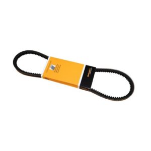 Continental 13X875 | Accessory Drive Belt
