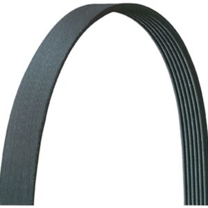 Dayco 5070825DR | Serpentine Belt