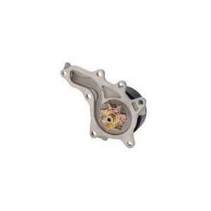 Dayco DP1378 | Engine Water Pump