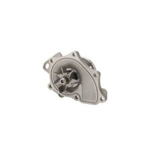 Dayco DP3001 | Engine Water Pump