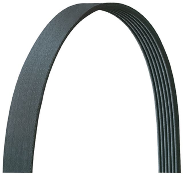 Dayco Serpentine Belt | 5050345DR