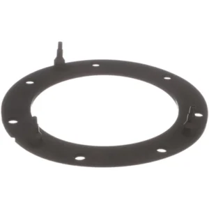 DELPHI - FA10038 - Fuel Pump Tank Seal
