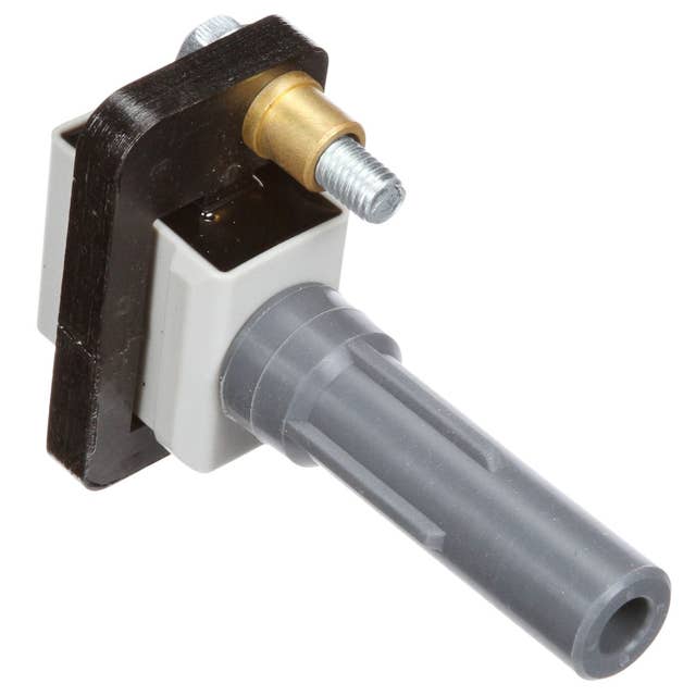 Delphi Ignition Coil | GN10484