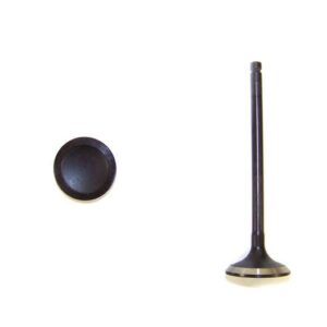 DNJ Engine Components Engine Exhaust Valve | EV720