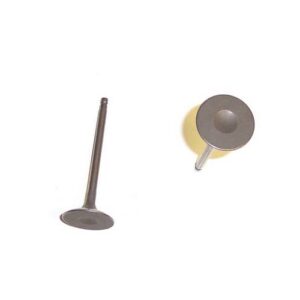 DNJ Engine Components Engine Intake Valve | IV638