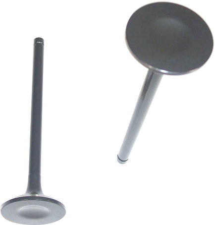 EV200 Exhaust Valve - Direct Fit, Sold individually