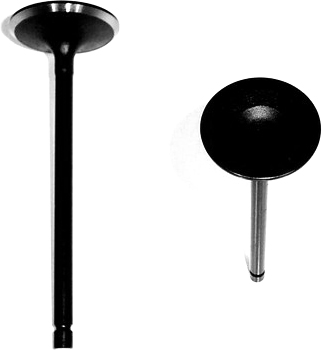IV710A Intake Valve - Direct Fit, Sold individually