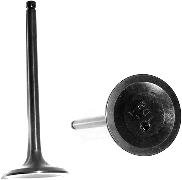 IV718 Intake Valve - Direct Fit, Sold individually