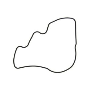 FEL-PRO Engine Oil Pump Seal | 72518