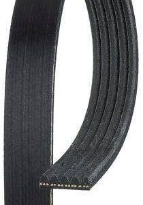 Gates K050345RPM | Black Serpentine Belt