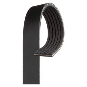 Gates K060605RPM | Black Serpentine Belt