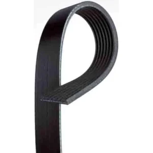 GATES - K070810 - Serpentine Belt