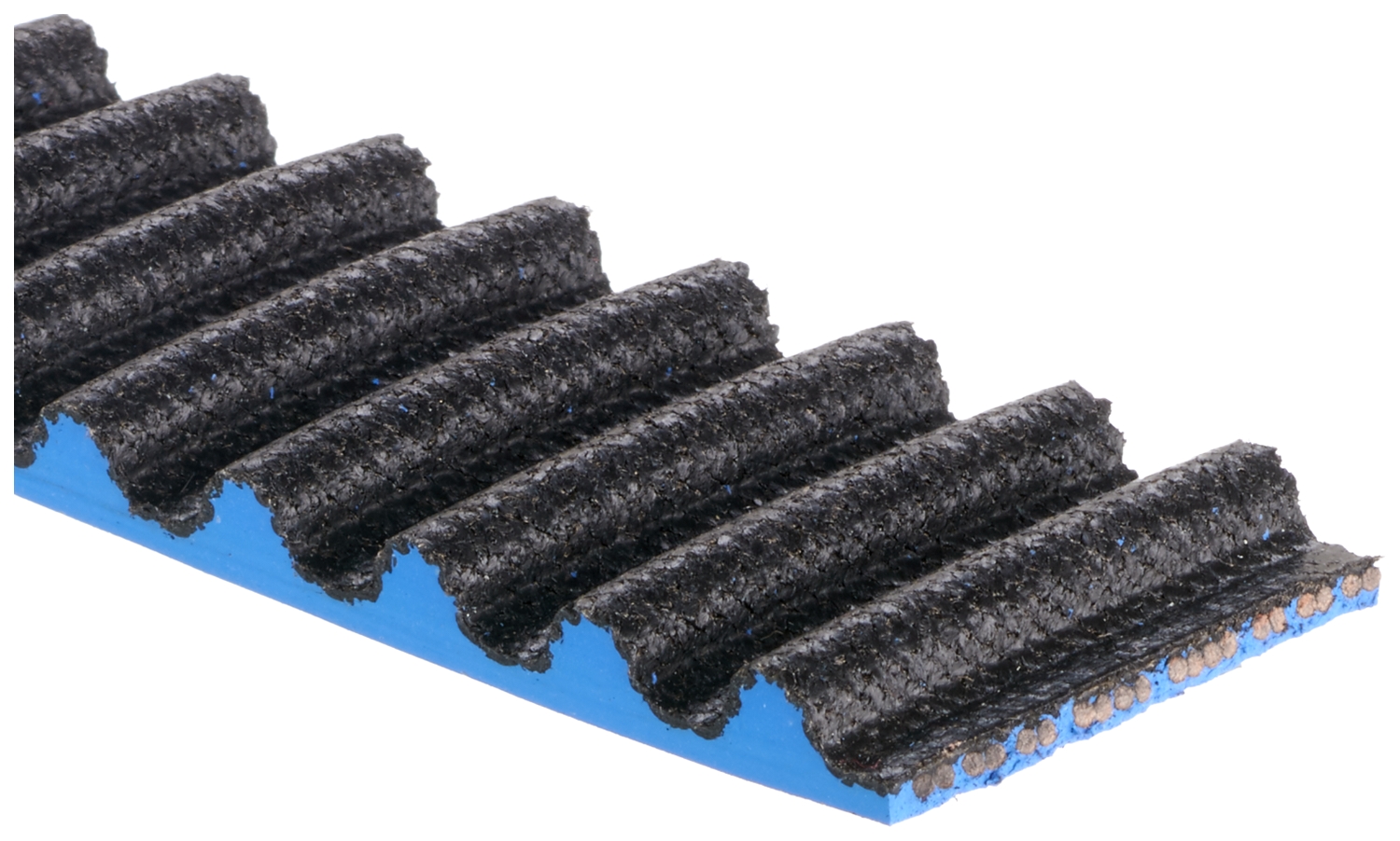 T312RB Timing Belt - Direct Fit, Sold Individually - Image 2