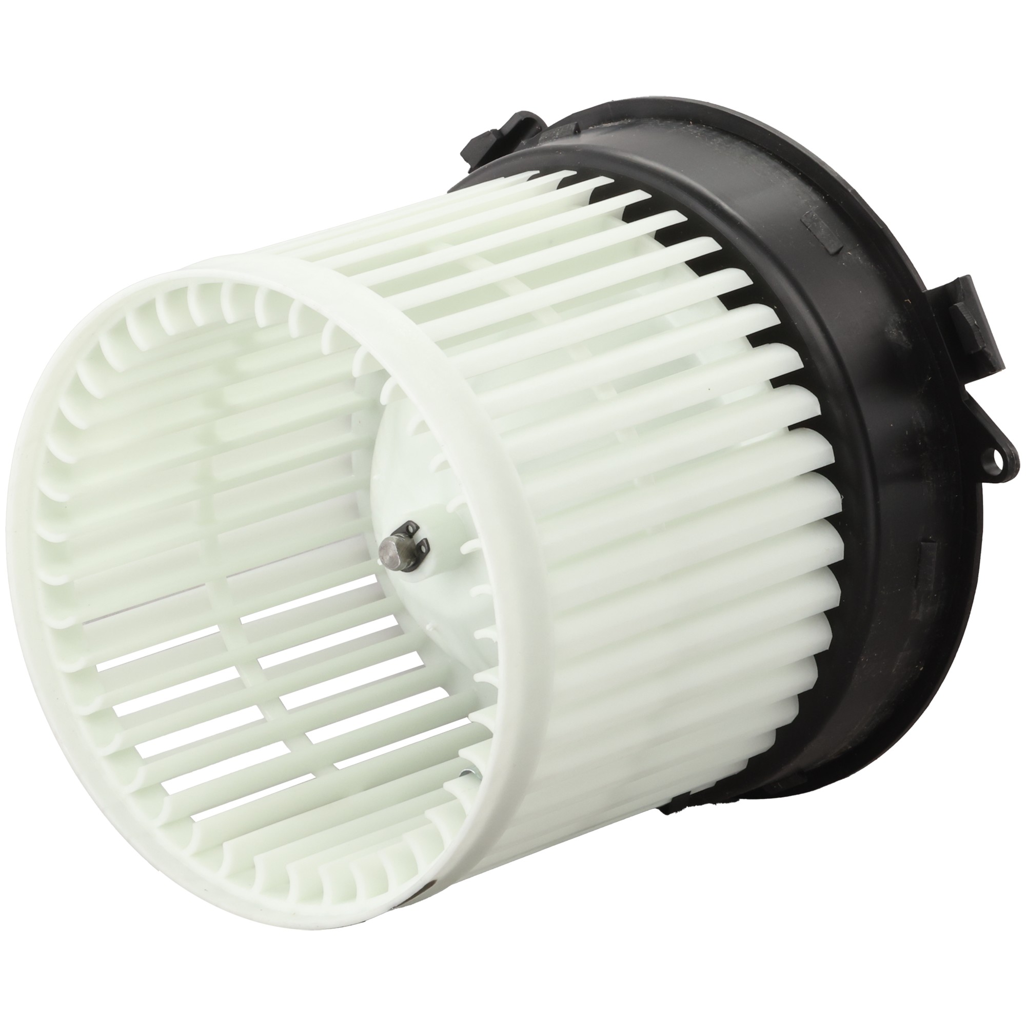 Blower Motor