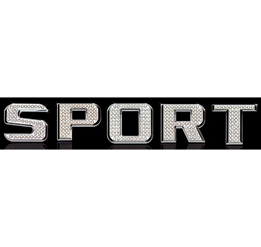 8610 1440SPORT Rear, Driver or Passenger Side Bare Strut, Sport Series