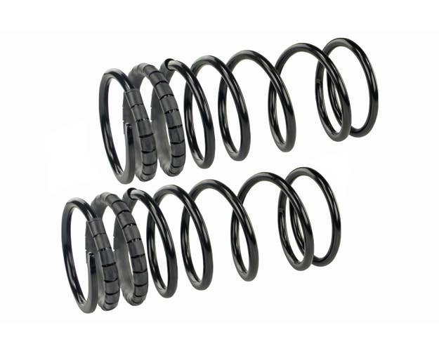 Mevotech SMS254V | Front Coil Spring Set