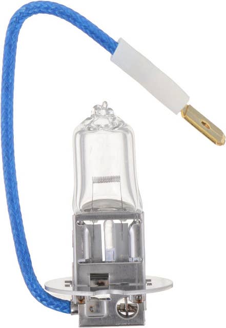 Philips Fog Light Bulb | H3B1
