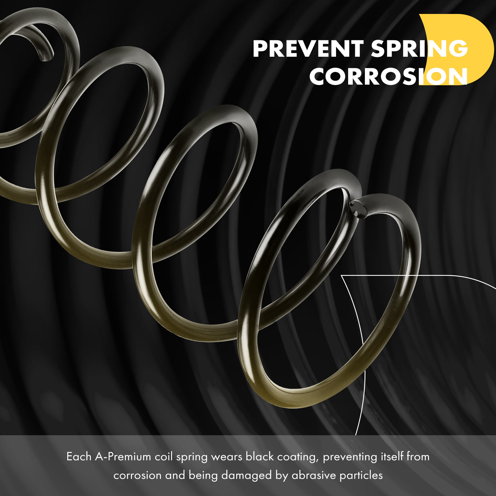 APCS429 Front, Driver and Passenger Side Coil Springs, Set of 2 - Image 3