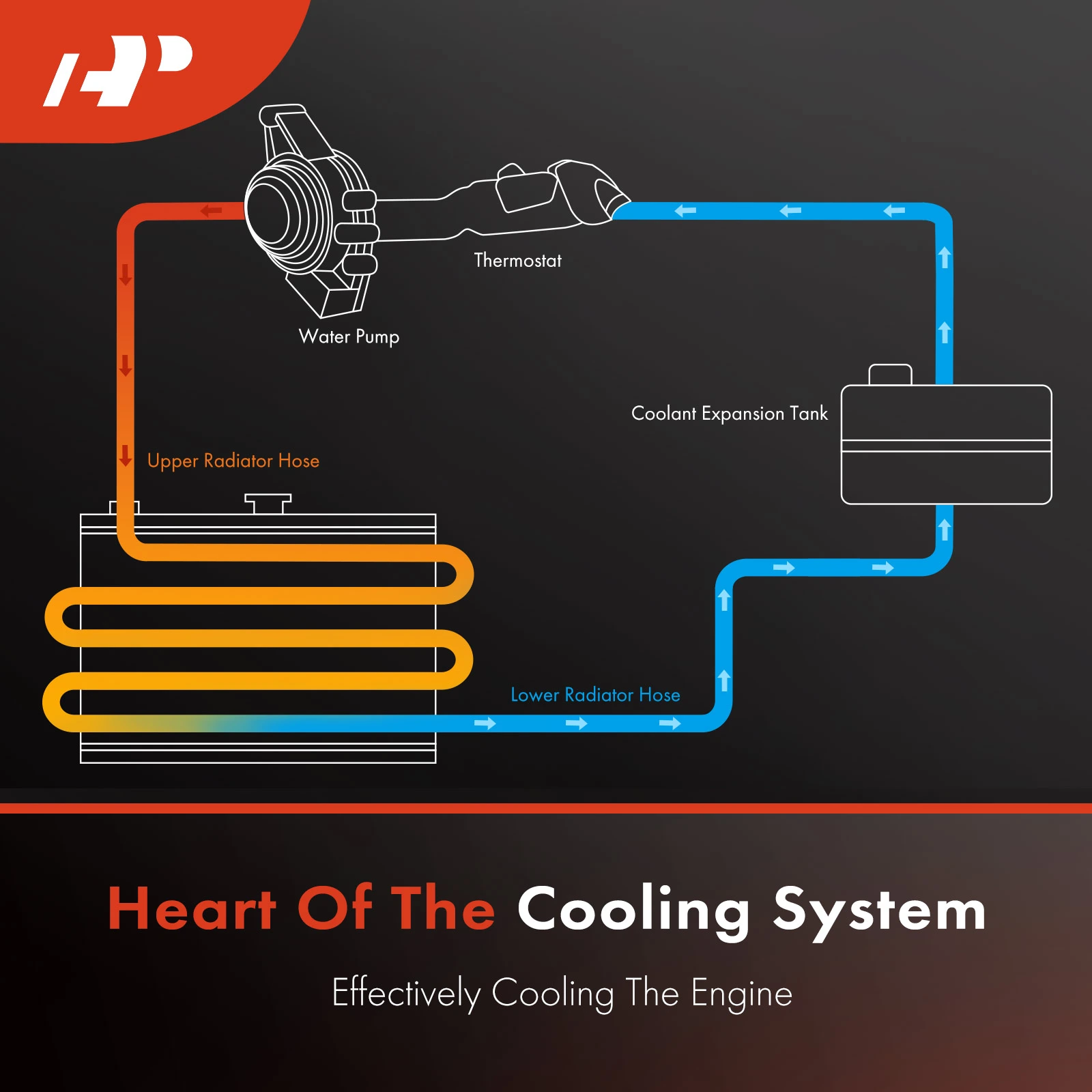 APRH0917 Lower Radiator Coolant Hose - Image 3
