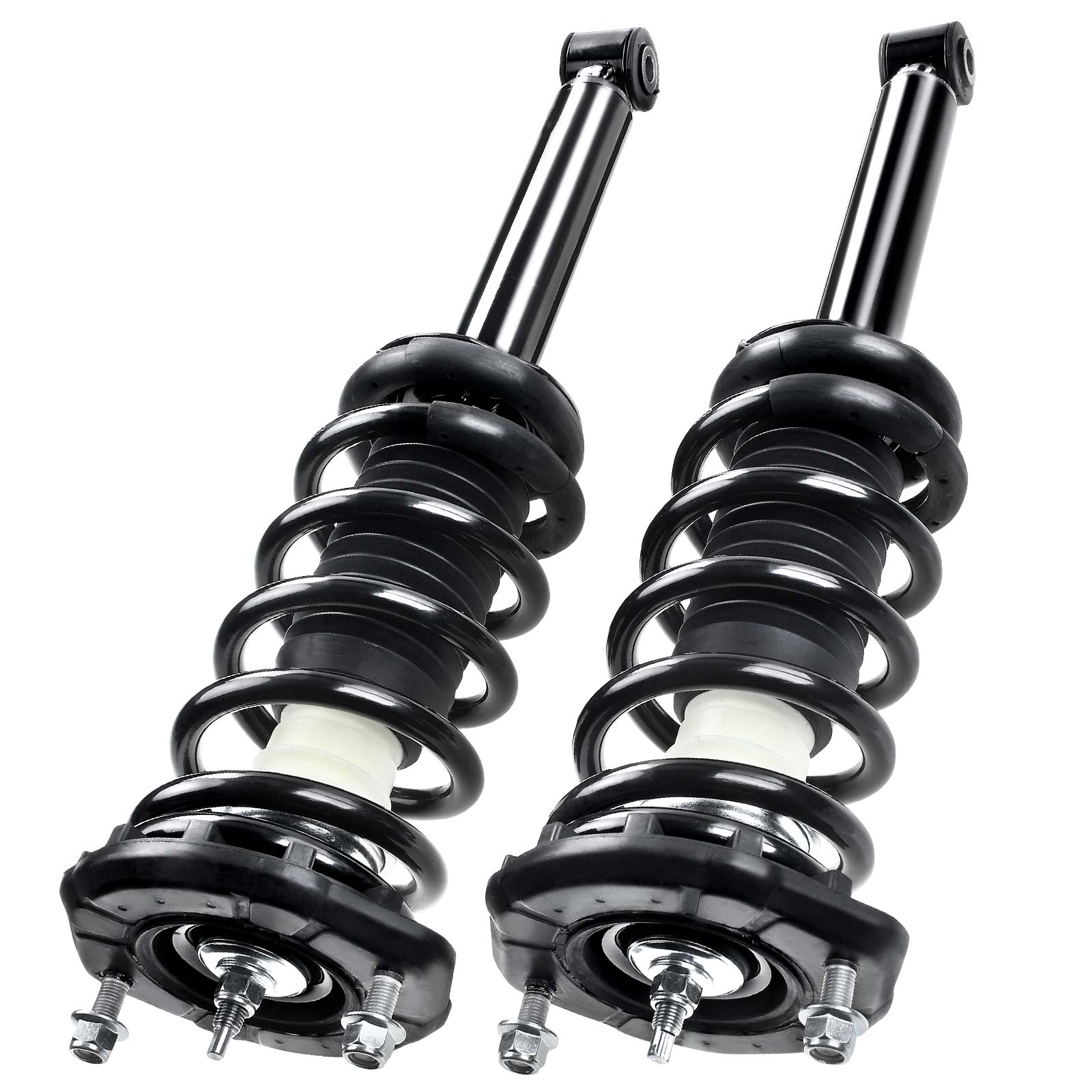 APSA0251 Rear Complete Strut & Coil Spring Assembly, Set of 2