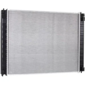 Radiator Assembly - IN3010206