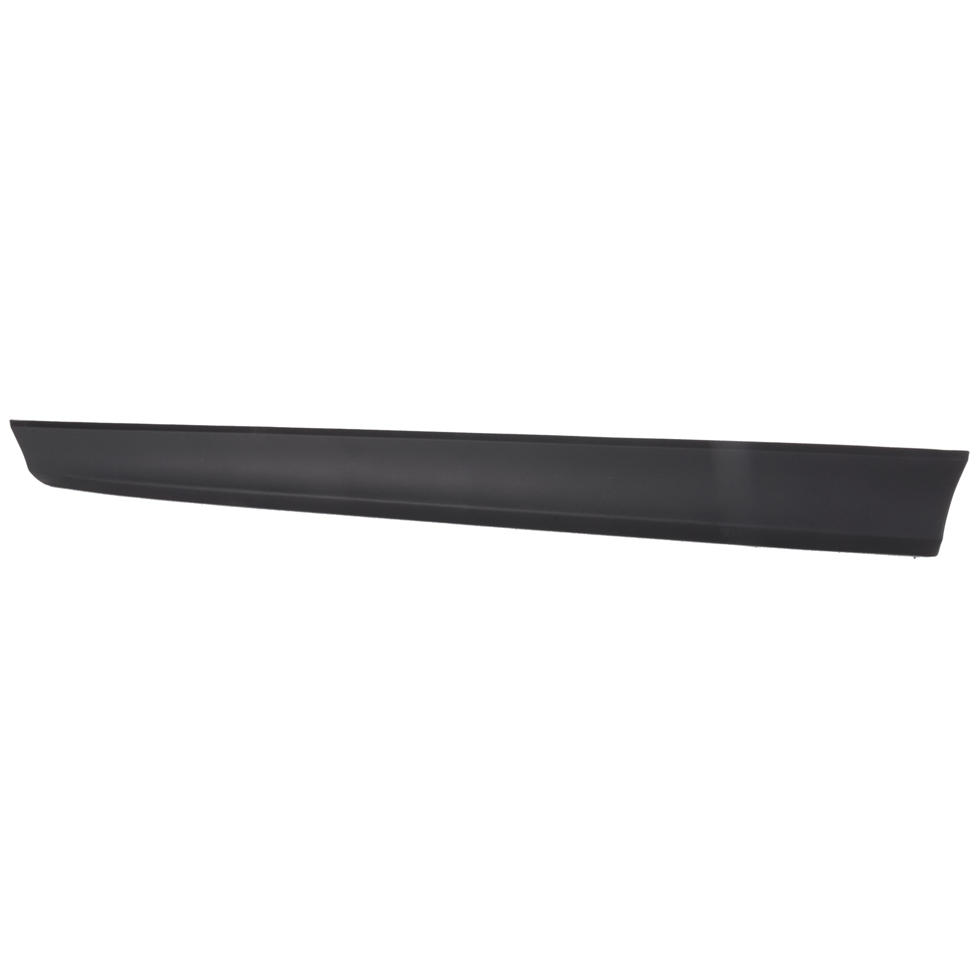 Front, Driver Side, Lower Door Molding and Beltlines, Textured Black