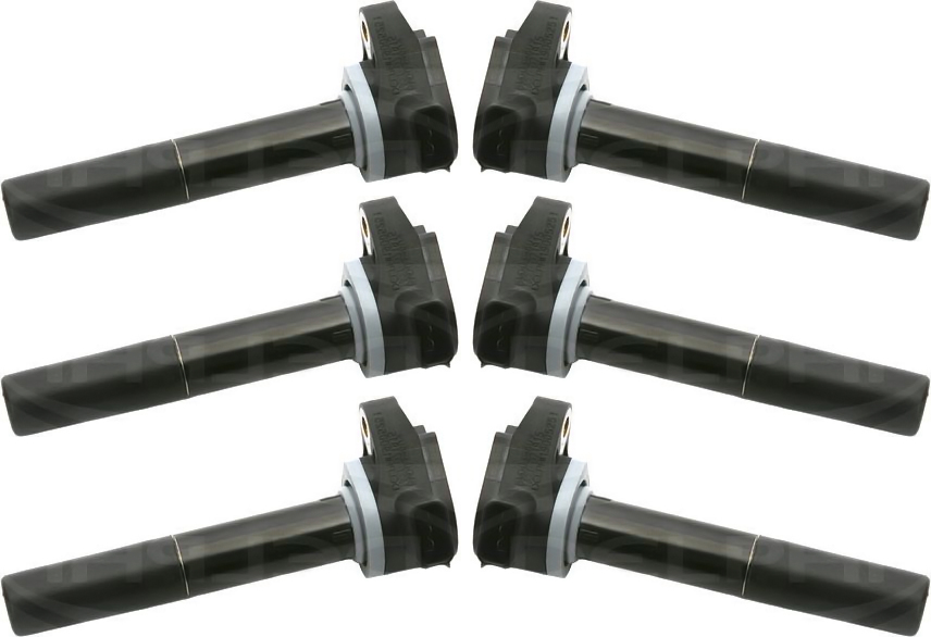 SET-DELGN10168 Ignition Coil, Set of 6